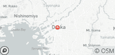 Osaka Discovery 4 Days – Universal Fun & Kyoto Heritage - 1 destination