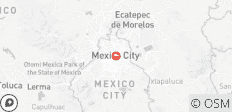 Temazcal in Mexiko-Stadt: Wellness und kulturelle Reise in Xochimilco - 1 Destination