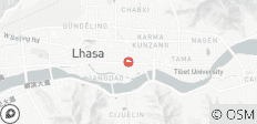 Excursión Privada Esencial de 4 Días por la Ciudad de Lhasa - 1 destino