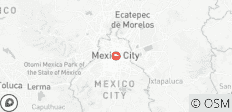 Experiencia futbolística en Ciudad de México: Museos, Arte y Cultura Deportiva - 1 destino