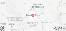 Fútbol en Ciudad de México: recorrido por los estadios históricos, los museos y la historia de la Copa del Mundo - 1 destino