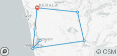 5 días explorando Kerala: fauna, plantaciones de té y casa flotante (opciones de hoteles de 3★, 4★ y 5★) - 7 destinos