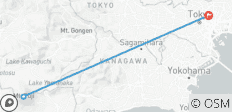 Tokyo: The Metropolis of Endless Experiences - 3 destinations