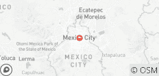 Azteekse odyssee: een reis door Mexico-Stad - 1 bestemming