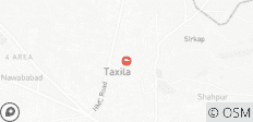 Full Day Private Guided Tour of Taxila Gandahara Civilization - 1 destination