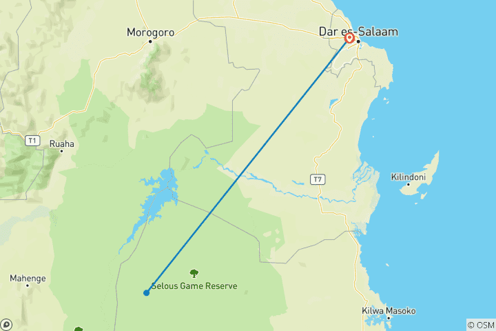 Map of Discover The Most Guided 3-Day Private Budget Nyerere Safari in Tanzania from Dar es Salaam