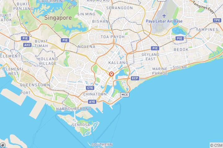 Mapa de Excursión de 5 días por lo más destacado de Singapur (guía y conductor privados)Personalizable