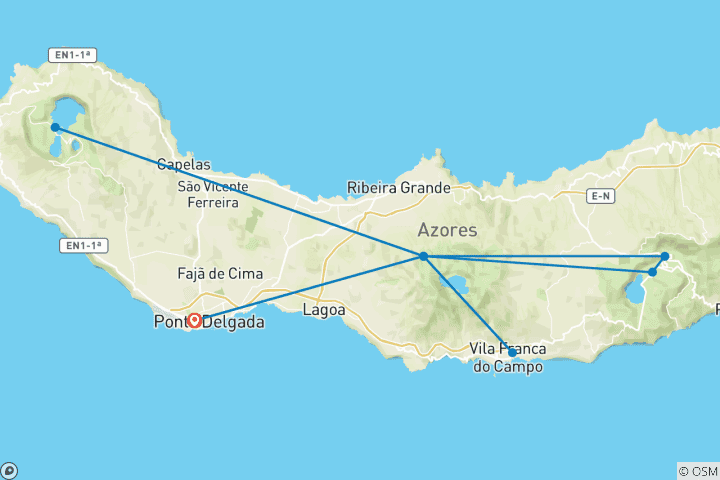 Map of Azores - dolphins and the island of São Miguel