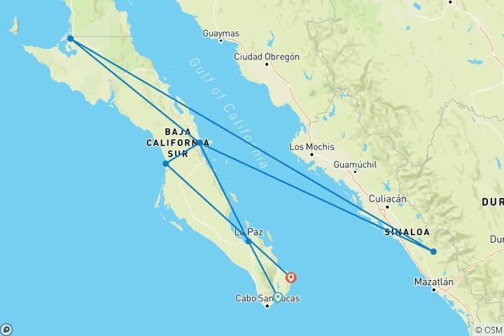 Carte du circuit Baja California Sur - un paradis naturel méconnu