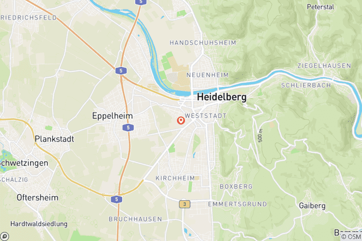 Carte du circuit Excursion de Noël à Heidelberg : château, vieille ville et marchés de Noël