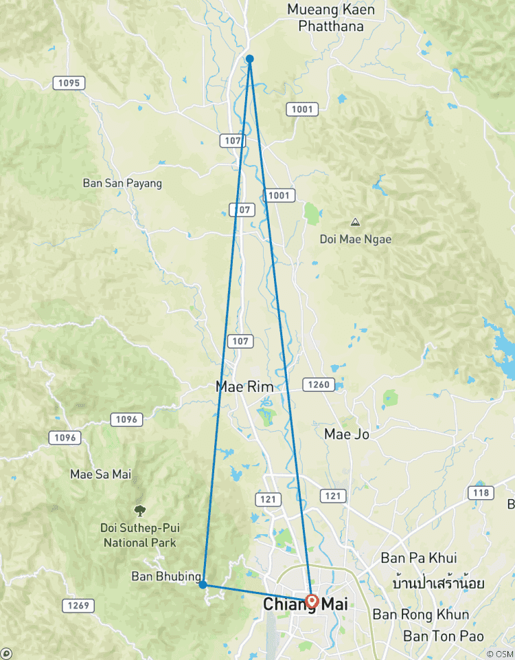 Circuito Tailandia - La experiencia del elefante
