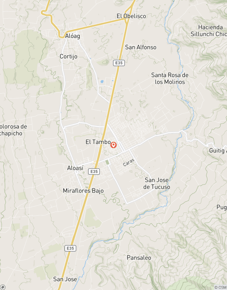 Circuito Mágico bosque nuboso a caballo