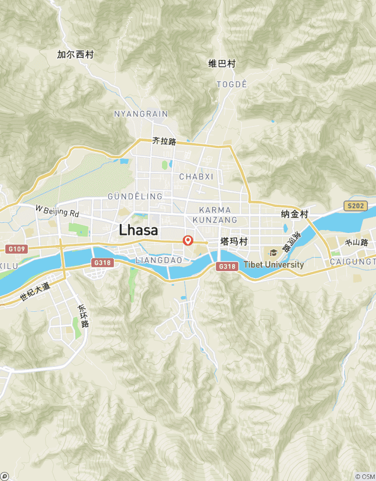 Circuito Excursión en grupo esencial de 4 días por la Ciudad de Lhasa
