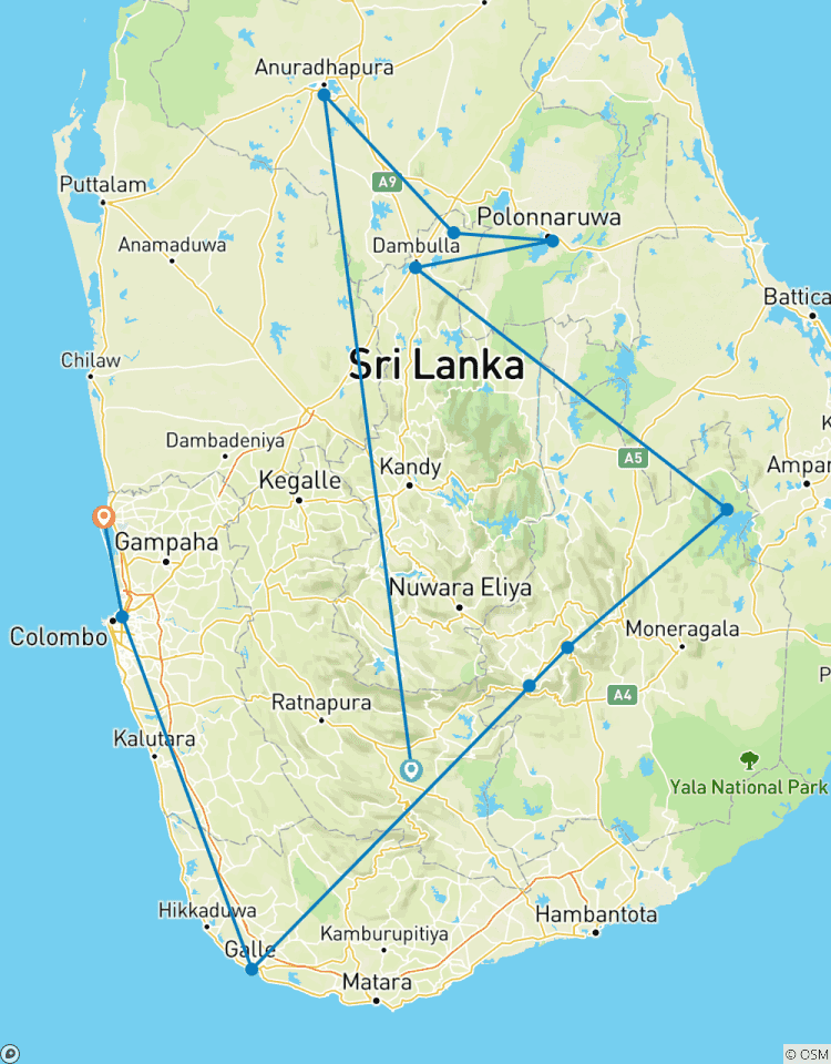 Mer, thé et safari - Sri Lanka circuit