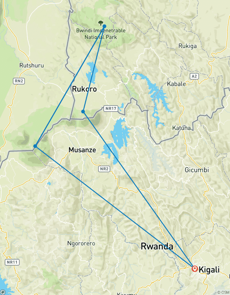 4-Day Rwanda Uganda Gorilla Trek Safari Kigali Bwindi Tour