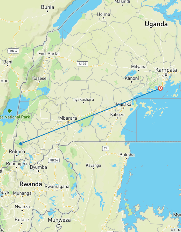 Circuito Senderismo de 3 días en busca de gorilas PN Bosque Impenetrable de Bwindi