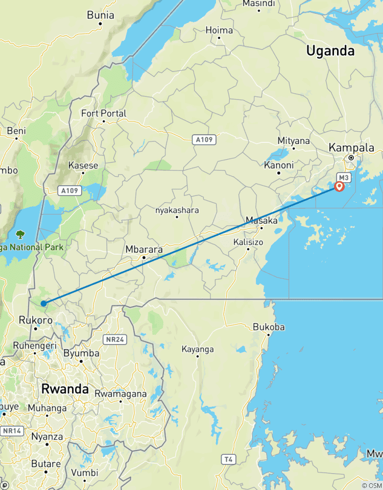 Circuito Safari en avión de 3 días para avistar gorilas en el Parque Nacional de Bwindi