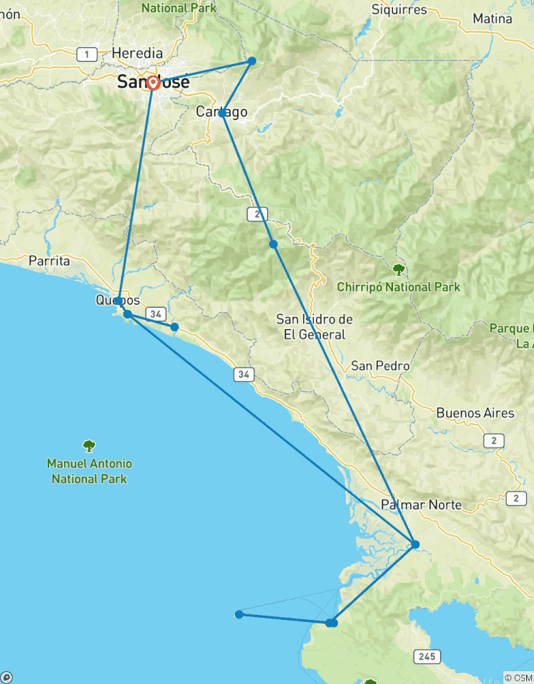 Southern Costa Rica Intense BioDiversity Tour