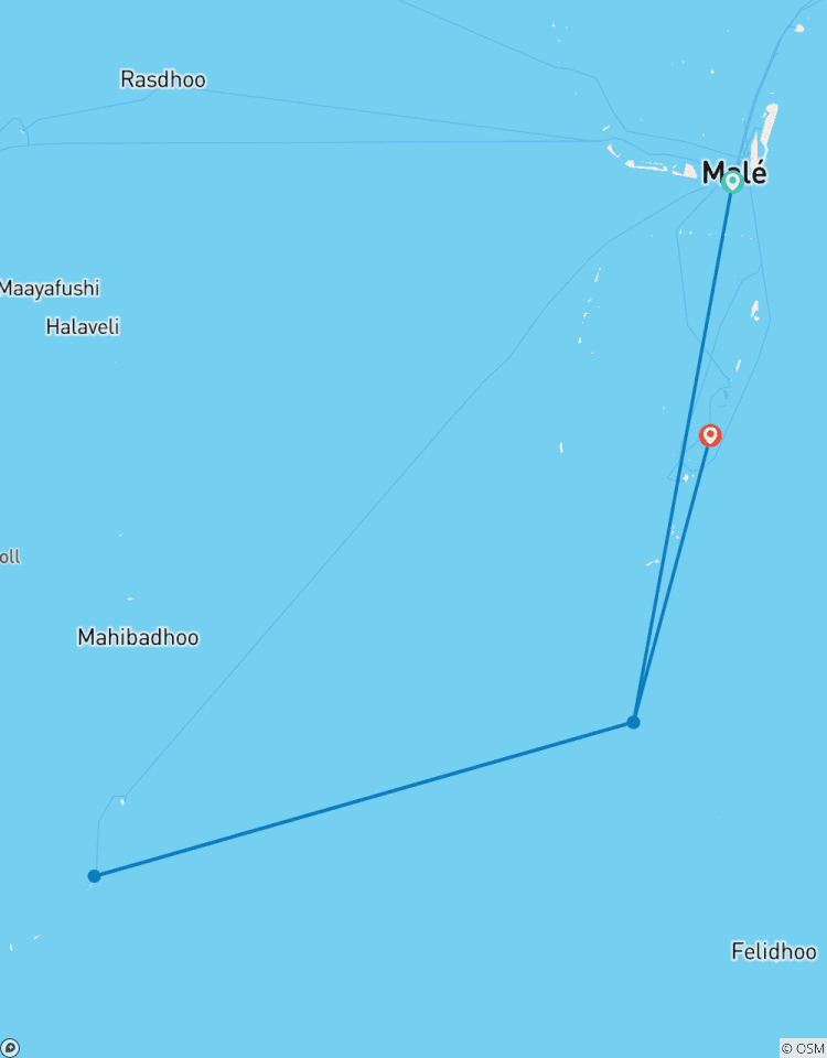 Maldives Island Hopping! Whale Sharks, Manta Ray, Shipwreck & Resort Visit Tour