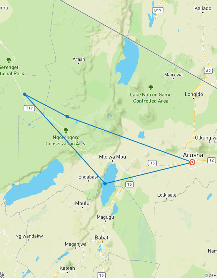 Le safari de la fierté du lion 4 jours en camping circuit