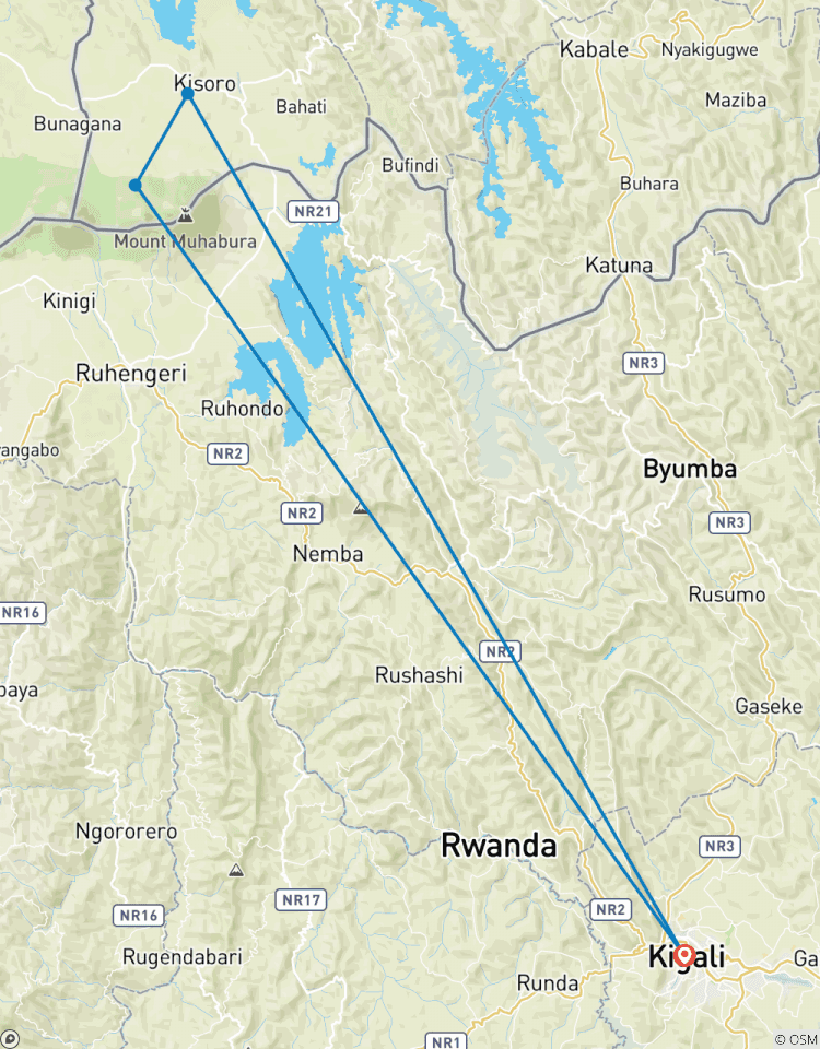 Gorilla Express Safari in Uganda Rundreise