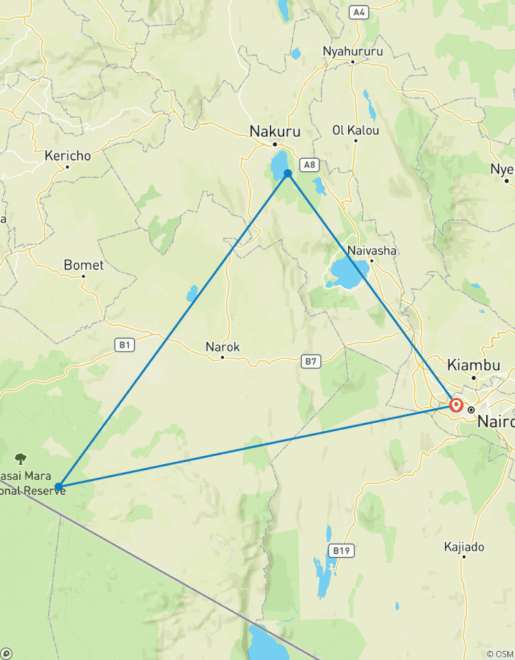 Circuito Safari en grupo de 4 días y 3 noches por el Parque Nacional Masai Mara y el lago Nakuru, con recogida gratuita en el aeropuerto.