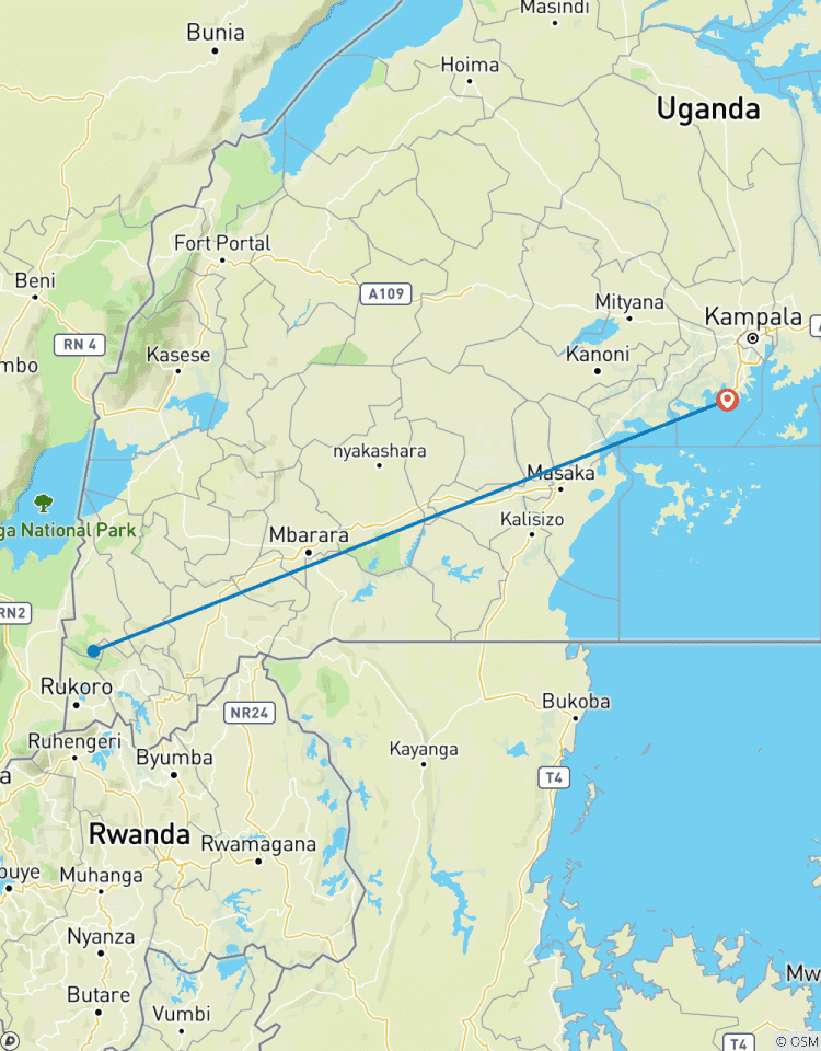 3 Days Gorilla Trekking Tour in Uganda Tour