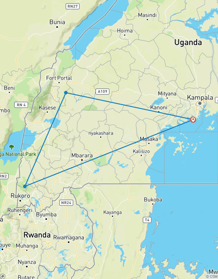 5 Days Chimpanzee and Gorilla Trekking Tour