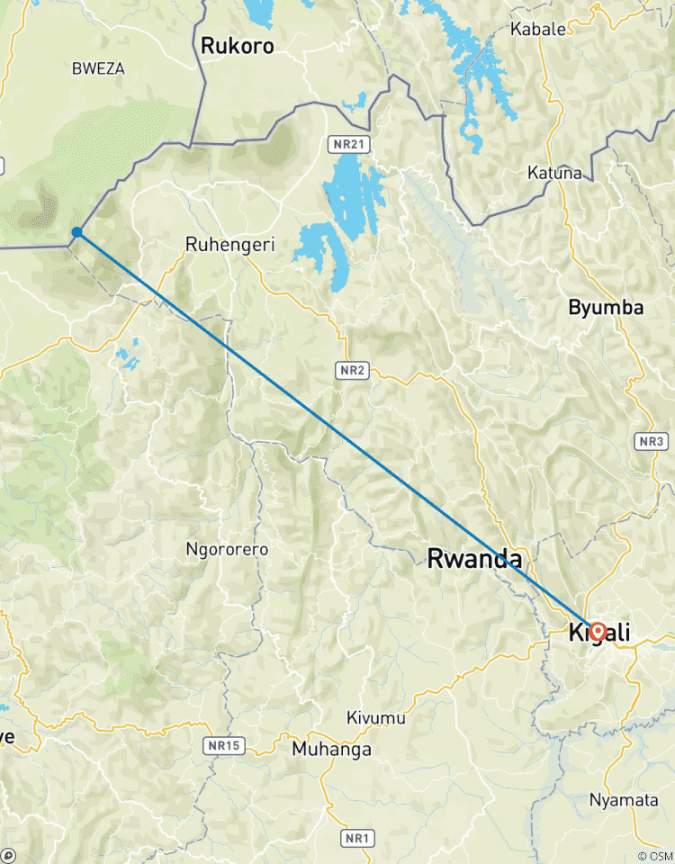 3 Days Rwanda Gorilla Tour Tour