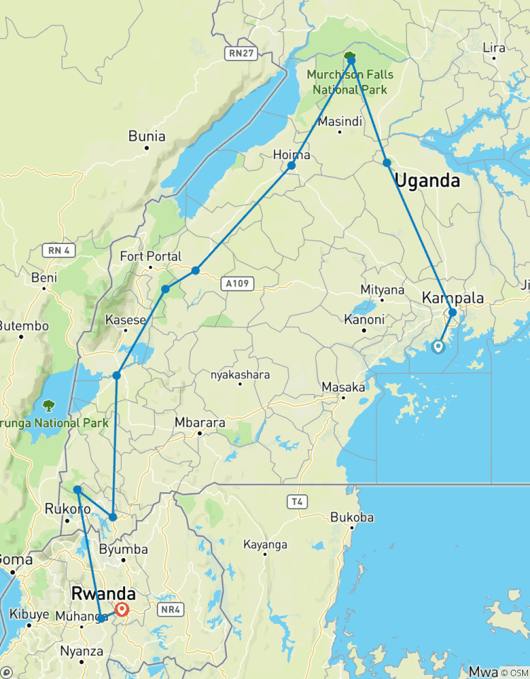 Circuito Encuentro con gorilas en Uganda, vida salvaje y visita a la Ciudad de Kigali en 10 días - circuito privado
