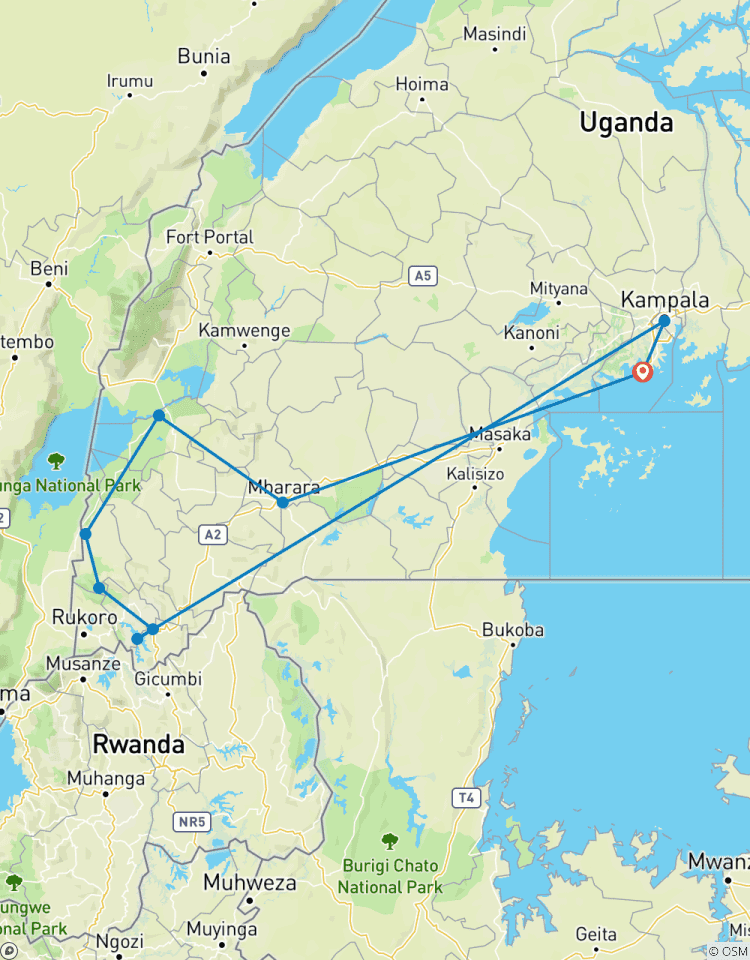 Explorez les gorilles d\'Ouganda, le lac Bunyonyi et les lions qui grimpent dans les arbres (en exclusivité) circuit