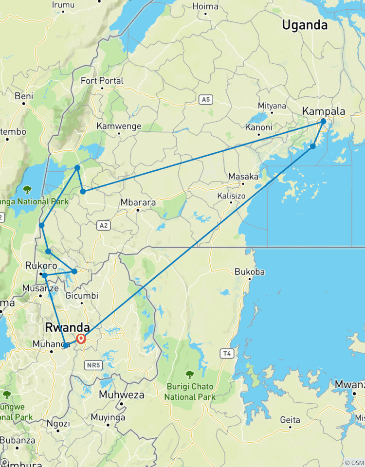 Circuito Excursión de 5 días a los gorilas, la fauna y los chimpancés en la selva de Kalinzu