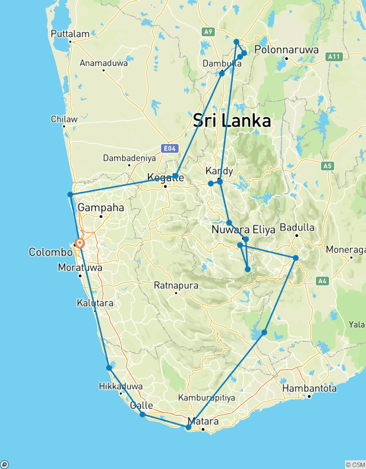 Circuito Viaje seguro y cómodo de 8 días por Sri Lanka para mujeres (edición de invierno)