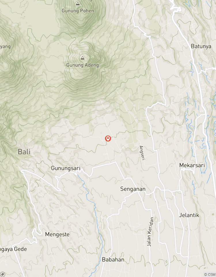 Mount Ijen: Electric Blue Fire Tour Tour