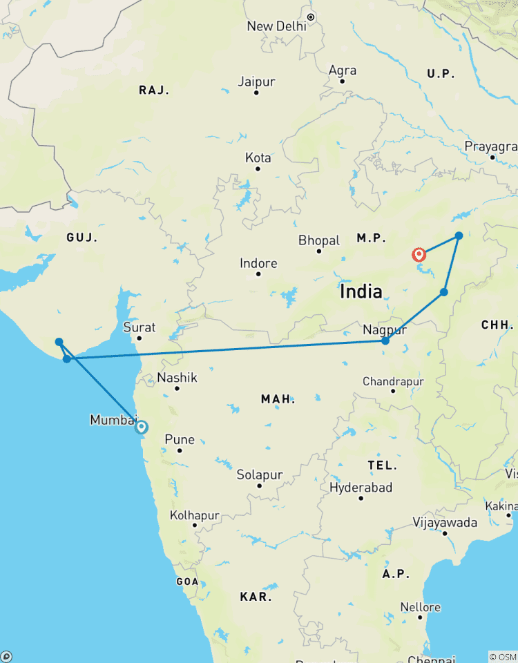 India Wildlife Safari - Asiatic Lions with the Bengal Tigers Tour