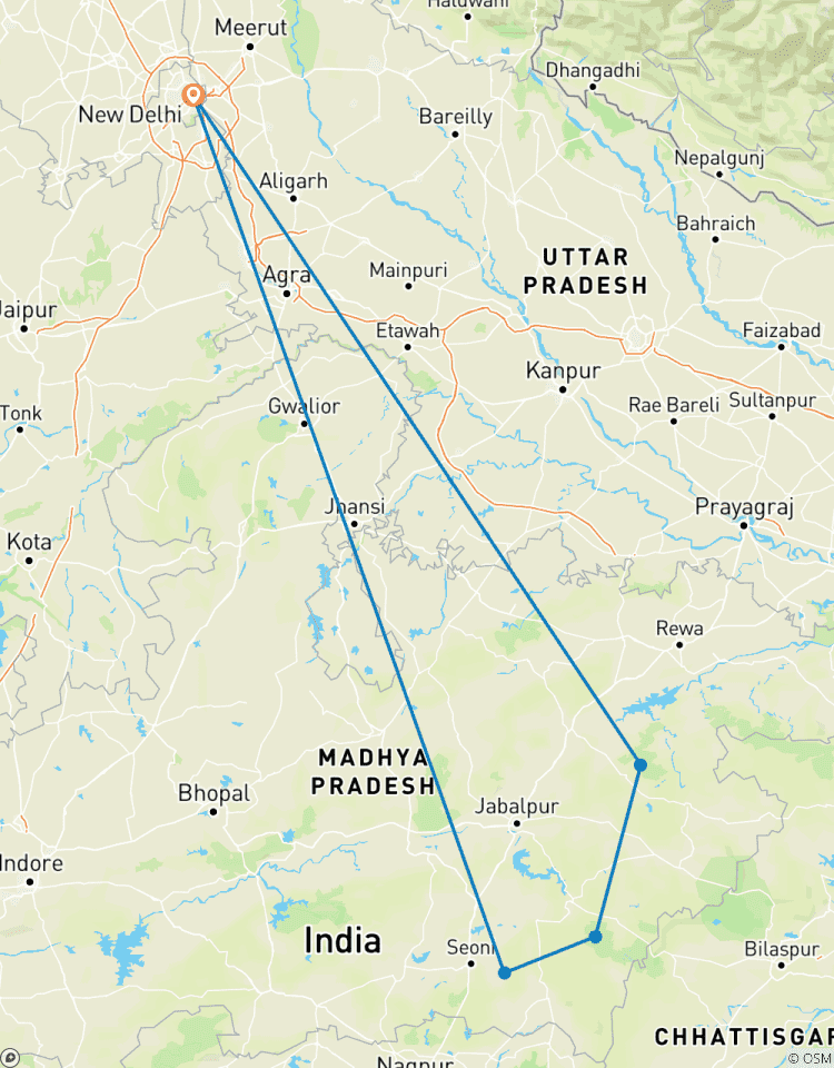 Bandhavgarh, Kanha, Pench Tiger Tour from Delhi with Flights Tour