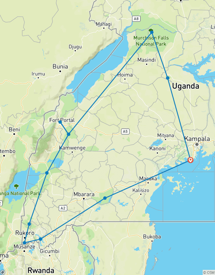 Découvrez les gorilles, les chimpanzés, les singes dorés et les Big 5 en Ouganda (en exclusivité) circuit