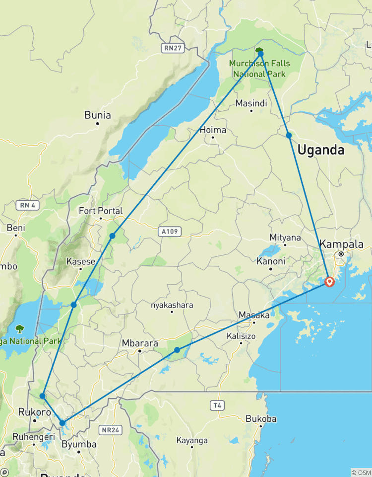 Circuito Safari de 11 días por Uganda: Gorilas, Chimpancés + 5 Grandes y Grandes Felinos