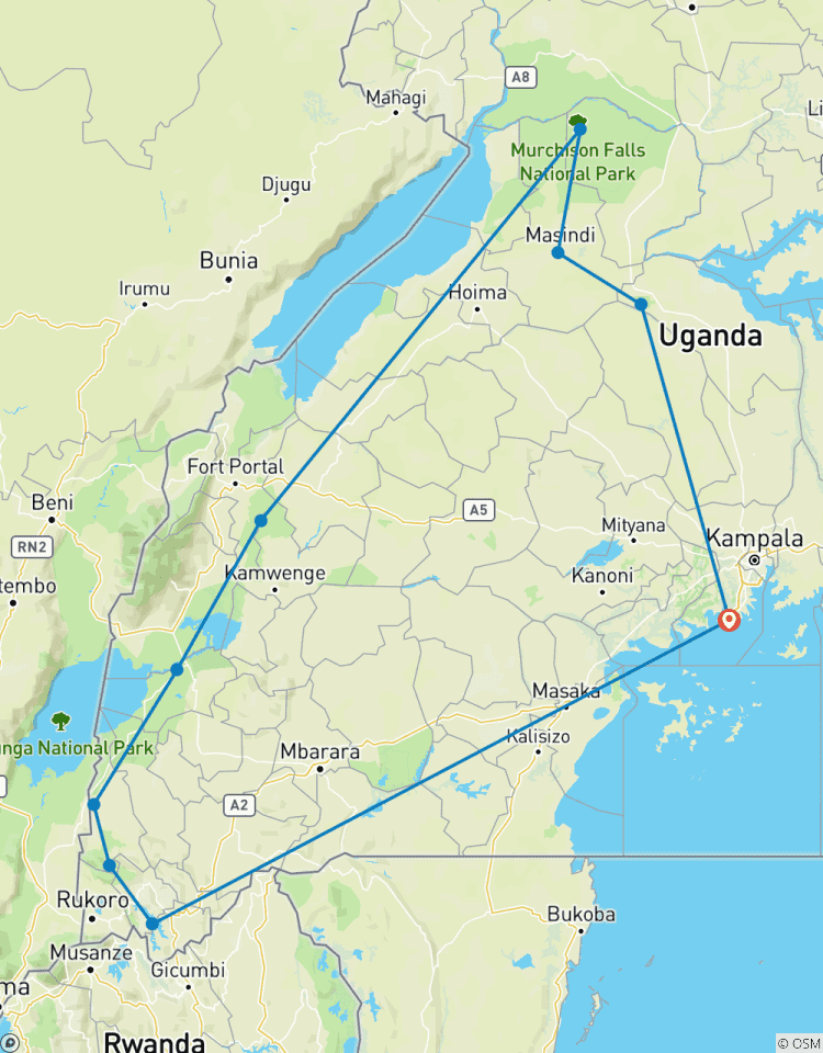 Découvrez les gorilles, les chimpanzés, les grands félins et les grands chats en Ouganda (en exclusivité) circuit