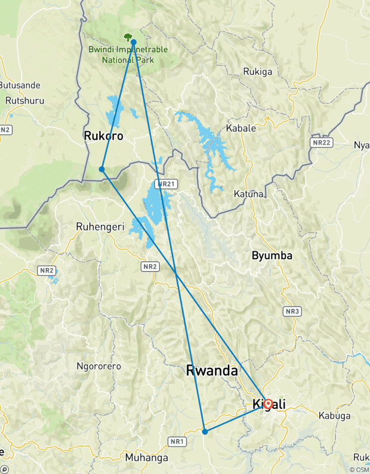 Circuito Experimenta Uganda Trekking con Gorilas y Senderismo a la Tumba de Dian Fossey (Exclusivamente Privado)