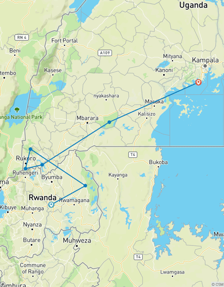 Découvrez l\'Ouganda et le Rwanda Gorilles + Big 5 (Exclusivement privé) circuit