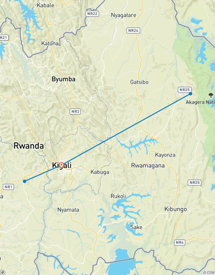Randonnée gorille au Rwanda, safari Big 5 et Big Cats (Exclusivement privé) circuit