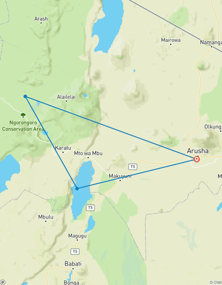 Circuito Safari de 2 días en campamento por Tanzania