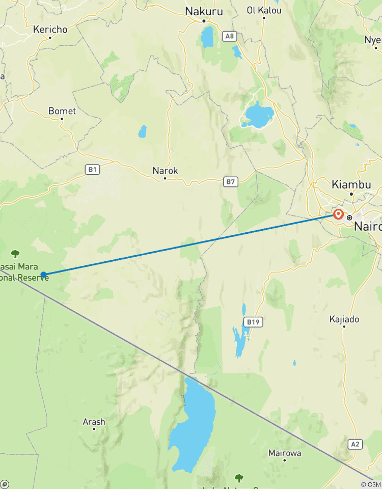 Circuito Safari de 4 días en camping por Kenia a Masai Mara - Aventura en grupo por la vida salvaje