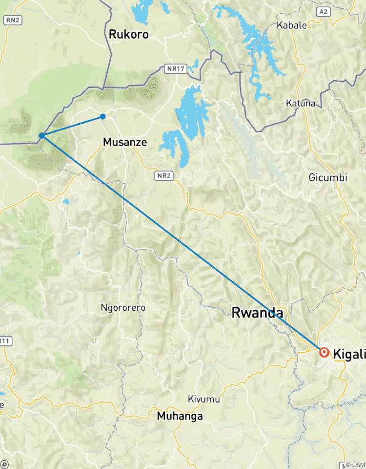 Rwanda Gorilla & Genocide Toersafari-rondreis