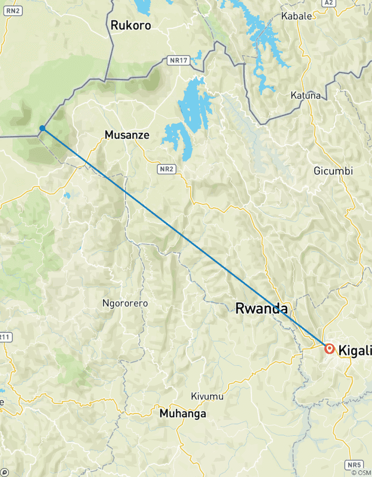Trek au Rwanda pour observer les gorilles et les singes dorés circuit