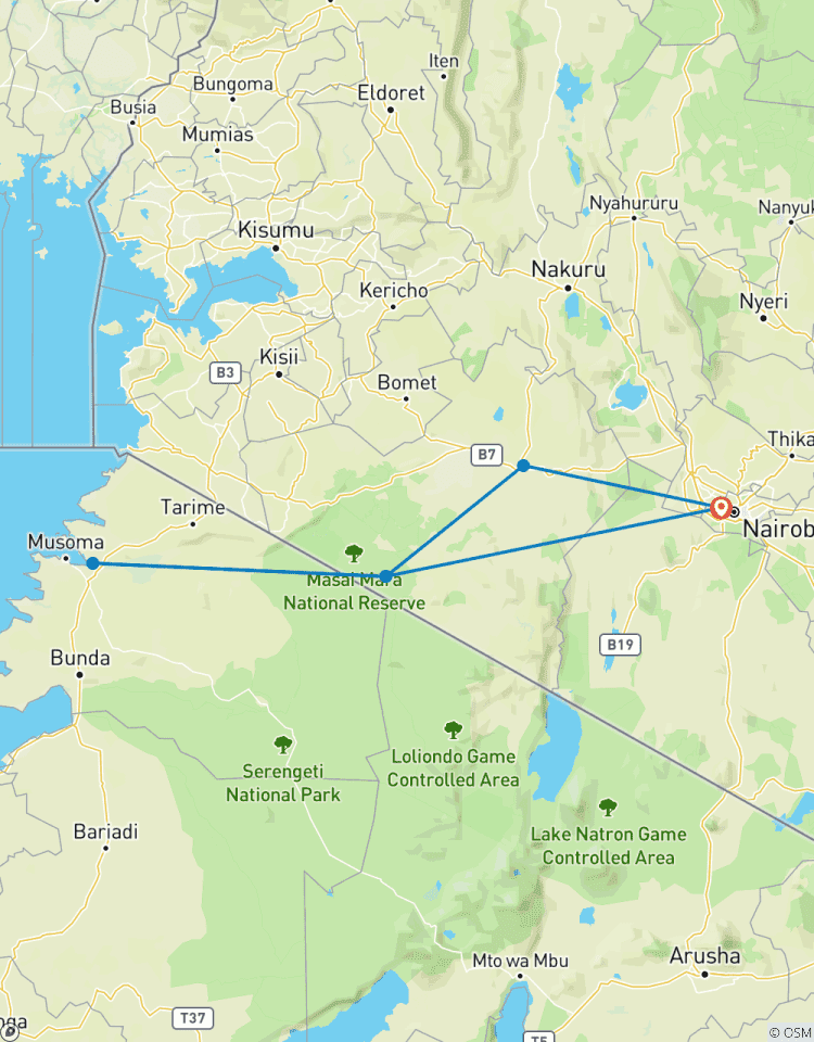 Escapade familiale de 3 jours dans le Masai Mara - Faune, plaisir et liens affectifs circuit