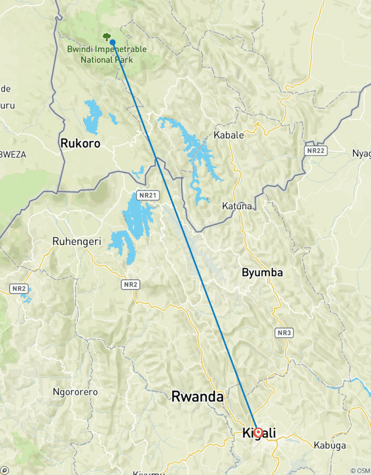 2 days Gorilla tracking Bwindi from Kigali Tour