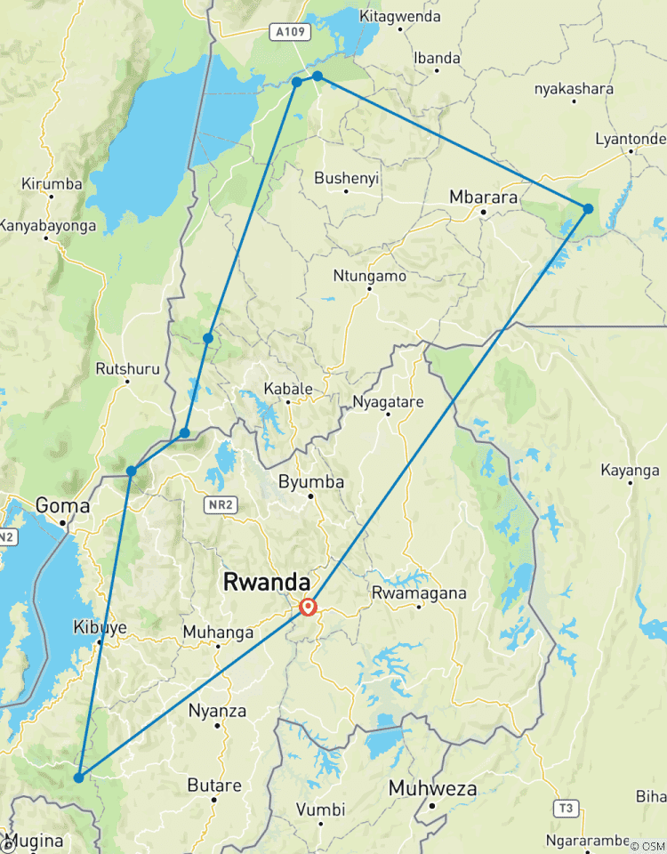 10 Day Rwanda Uganda Chimpanzee Trekking, Gorilla Tracking & Wildlife Tour Tour