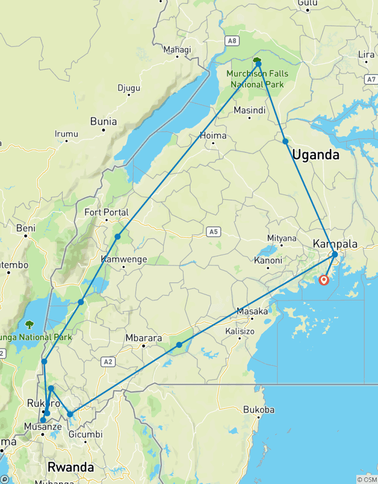 11 Day Chimpanzee Trekking, Gorilla Tracking & Wildlife Safari Tour